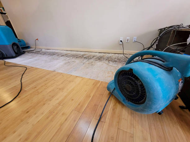 Professional Water Damage Repair technician working in McClellanville, SC